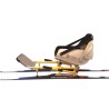 Luge sur skis adaptée au handicap, pour la pratique du ski joering avec chien de traîneau