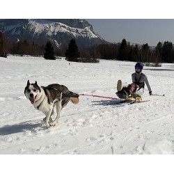 Luge adaptée pour le ski joering
