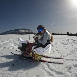 Luge adaptée pour le ski joering