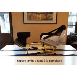 Luge adaptée pour le ski joering