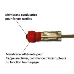 Embout de licorne double fonction : adhérent/conducteur