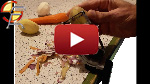 vidéo youtube de l'éplucheur